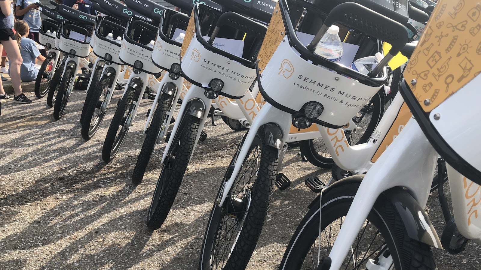 Semmes Murphey Branded Bikes Lined Up in a Row