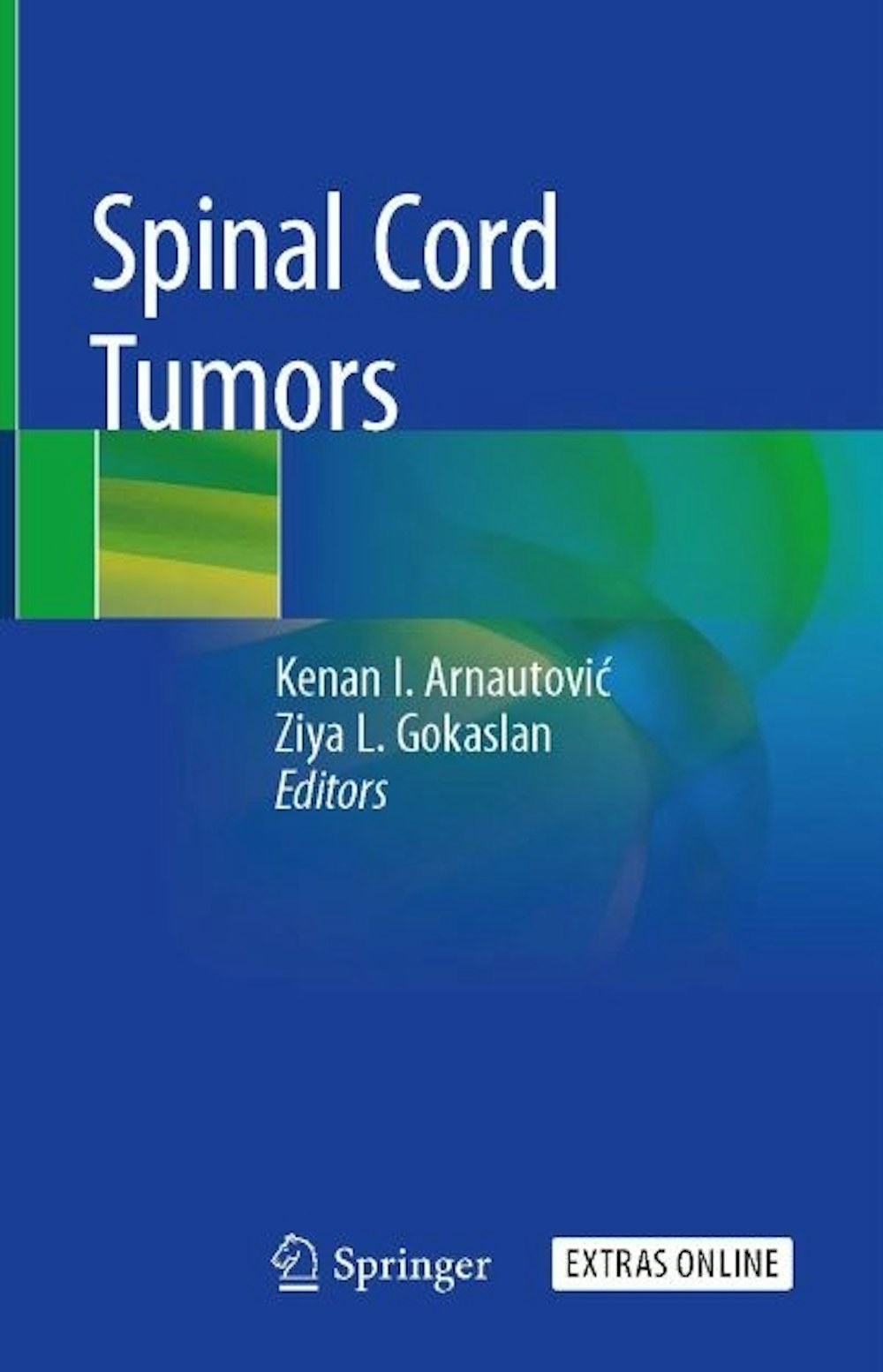 Pages from Arnautovic Gokaslan Spinal Cord Tumors 0