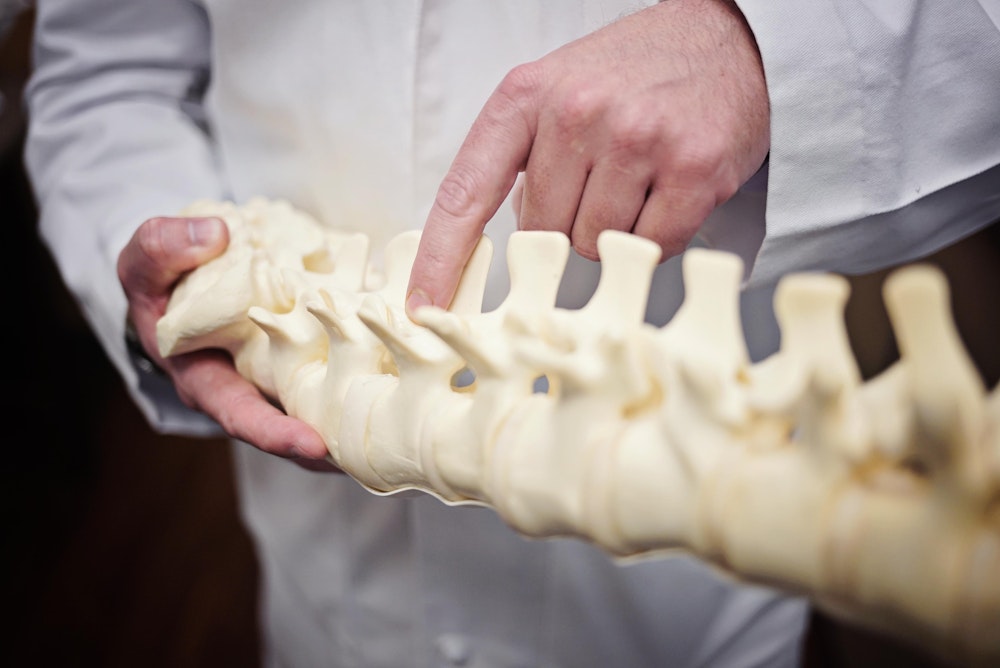 A doctor using a spine to instruct a client at a spinal clinic